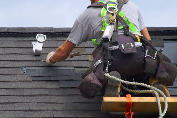 Best Shingle Roofing Installation  in Churchill, MT