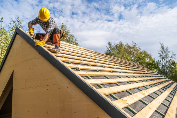 Best Shingle Roofing Installation  in Churchill, MT
